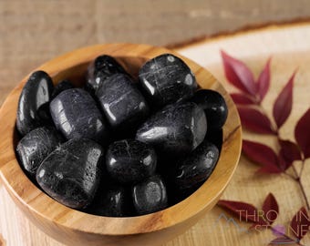 BLACK TOURMALINE Tumbled Healing Crystals and Stones, Self Care Gift,  EMF and Empath Protection, E0846
