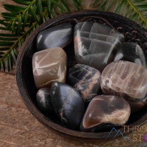 Gray MOONSTONE Tumbled Stones - Tumbled Crystals, Self Care, Healing Crystals and Stones, E1153