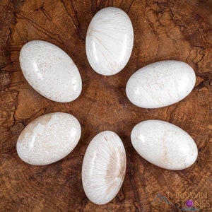 SCOLECITE Crystal Palm Stone - Large - Worry Stone, Self Care, Healing Crystals and Stones, E1886