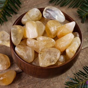 CITRINE Tumbled Stones  :  Genuine Yellow Birthstone, Healing Crystals and Gems,  E1409