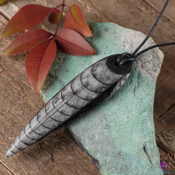 ORTHOCERAS FOSSIL Pendant - Handmade Jewelry, Healing Crystals and Stones, E0358