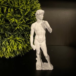 Exquisite 3D Printed Statue of David - Fine Art Home Decor Sculpture