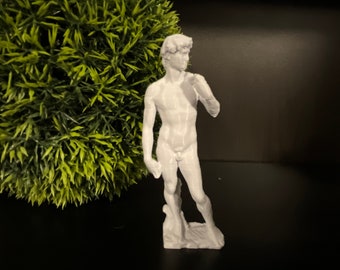 Exquisite 3D Printed Statue of David - Fine Art Home Decor Sculpture
