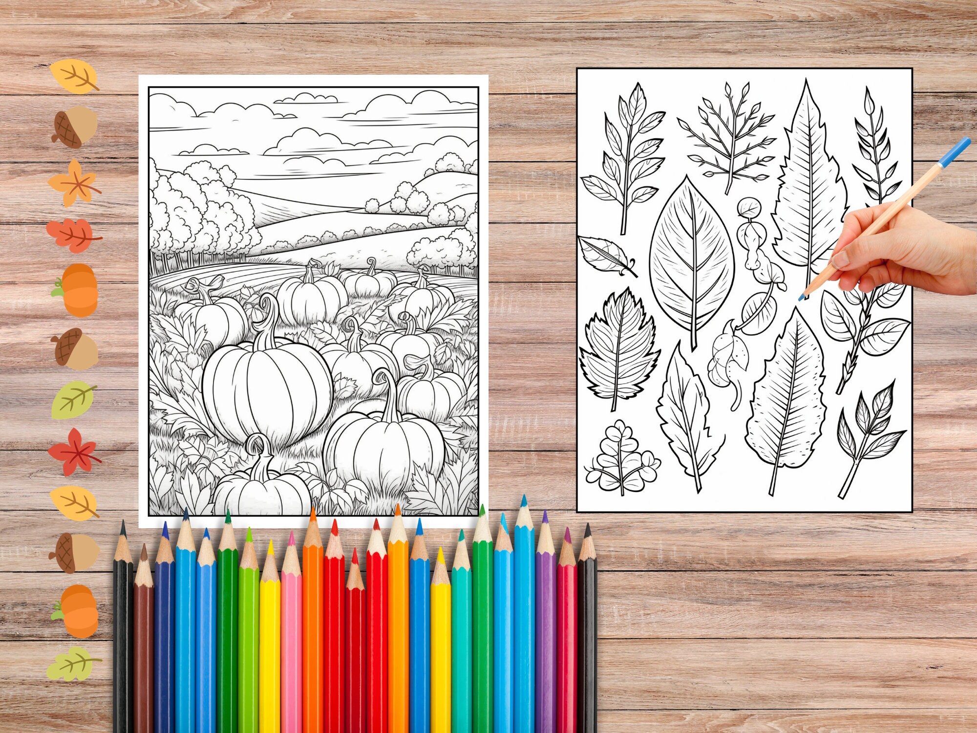 100 Autumn Coloring Pages Adult Coloring Stress Relief Etsy