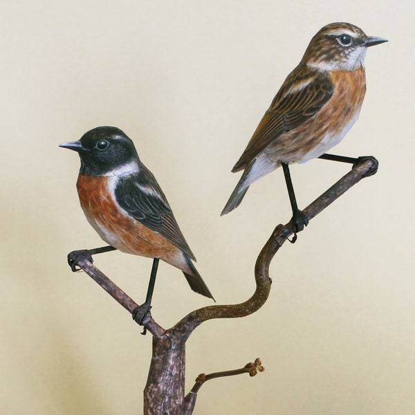 Stonechat, a paper bird.