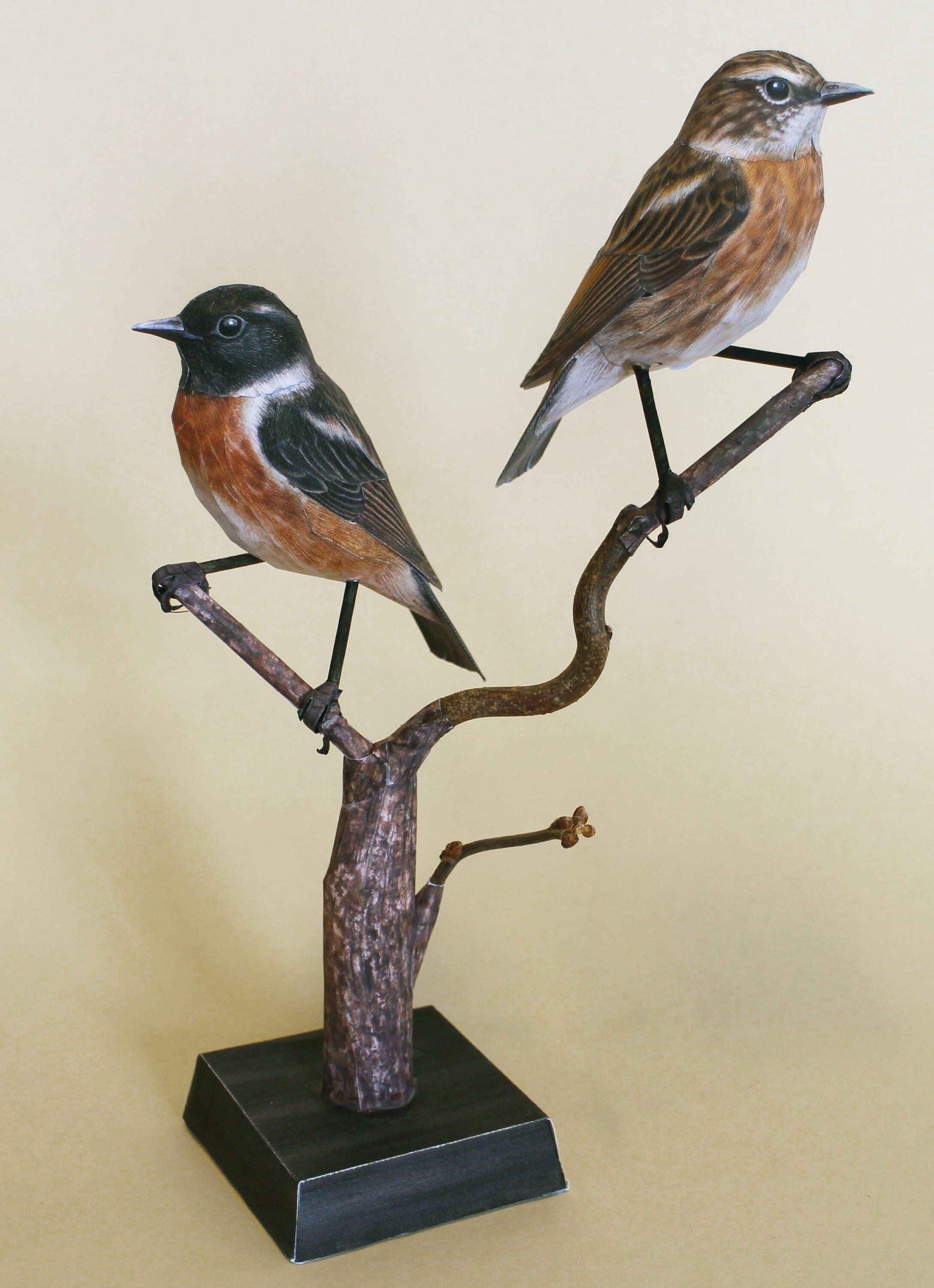 Stonechat earrings deals