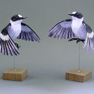 Template papercraft Flycatcher in flight.