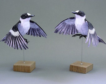 Template papercraft Flycatcher in flight.