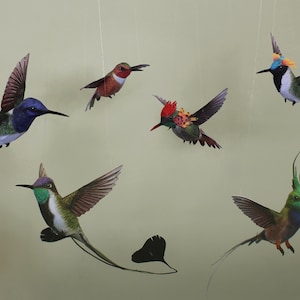May include: Six colorful hummingbird paper cutouts hanging from the ceiling. The hummingbirds are all different colors and have intricate details.