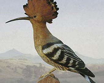 Template papercraft Hoopoe