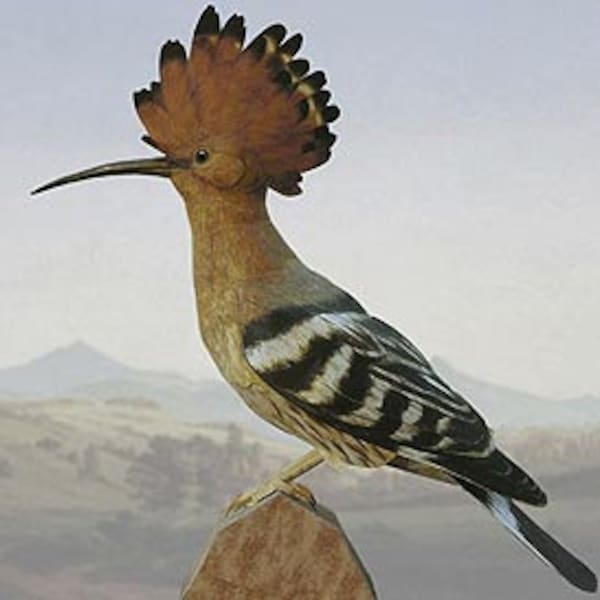 Papercraft szablon Hoopoe