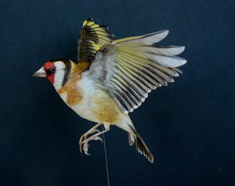 Template papercraft Goldfinch in flight