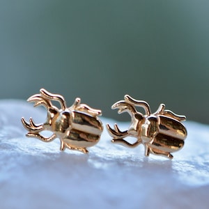 May include: A pair of gold-toned beetle earrings. The earrings are small and delicate, and they feature a realistic beetle design.