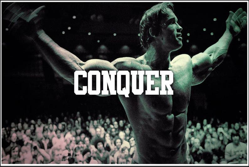 arnold schwarzenegger conquer arnold schwarzenegger conquer
