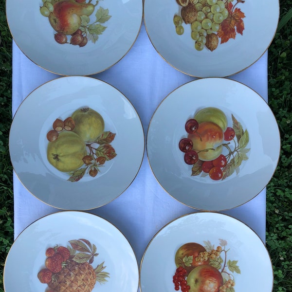 Vintage Assorted Fruit/Dessert/Salad Plates China Pattern - Set of 6 Bareuther Waldsassen