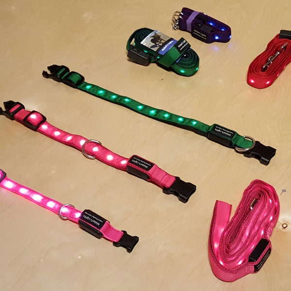 Extra Small,Small, Medium,Large and Extra Large Rechargeable Light-Up Collars for Dogs