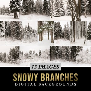 15 Snowy Branches Digital Backgrounds - Winter photography backdrops - snow - nature