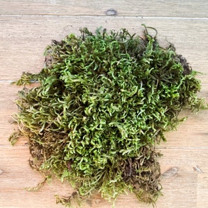 30g/50g/100g Green Moss For Crafts, Artificial Moss Potted Plants, Decorative  Moss For Table Centerpieces Wedding Christmas Fairy Party Decor, Faux Moss  For Indoor Planters, DIY Project