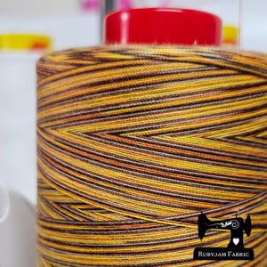 May include: A spool of multi-coloured thread with brown, yellow, orange, and white stripes. The spool is labelled "RubyJam Fabric".