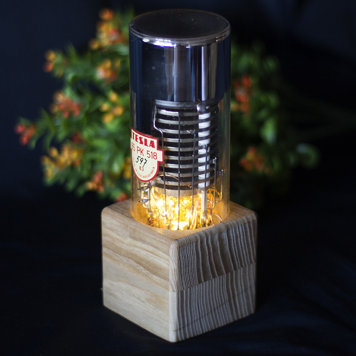 Personalized vacuum tube night light. Eco ash tree LED Etsy