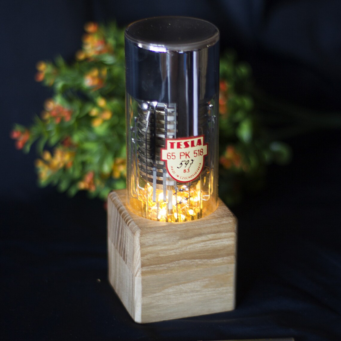 Personalized vacuum tube night light. Eco ash tree LED Etsy