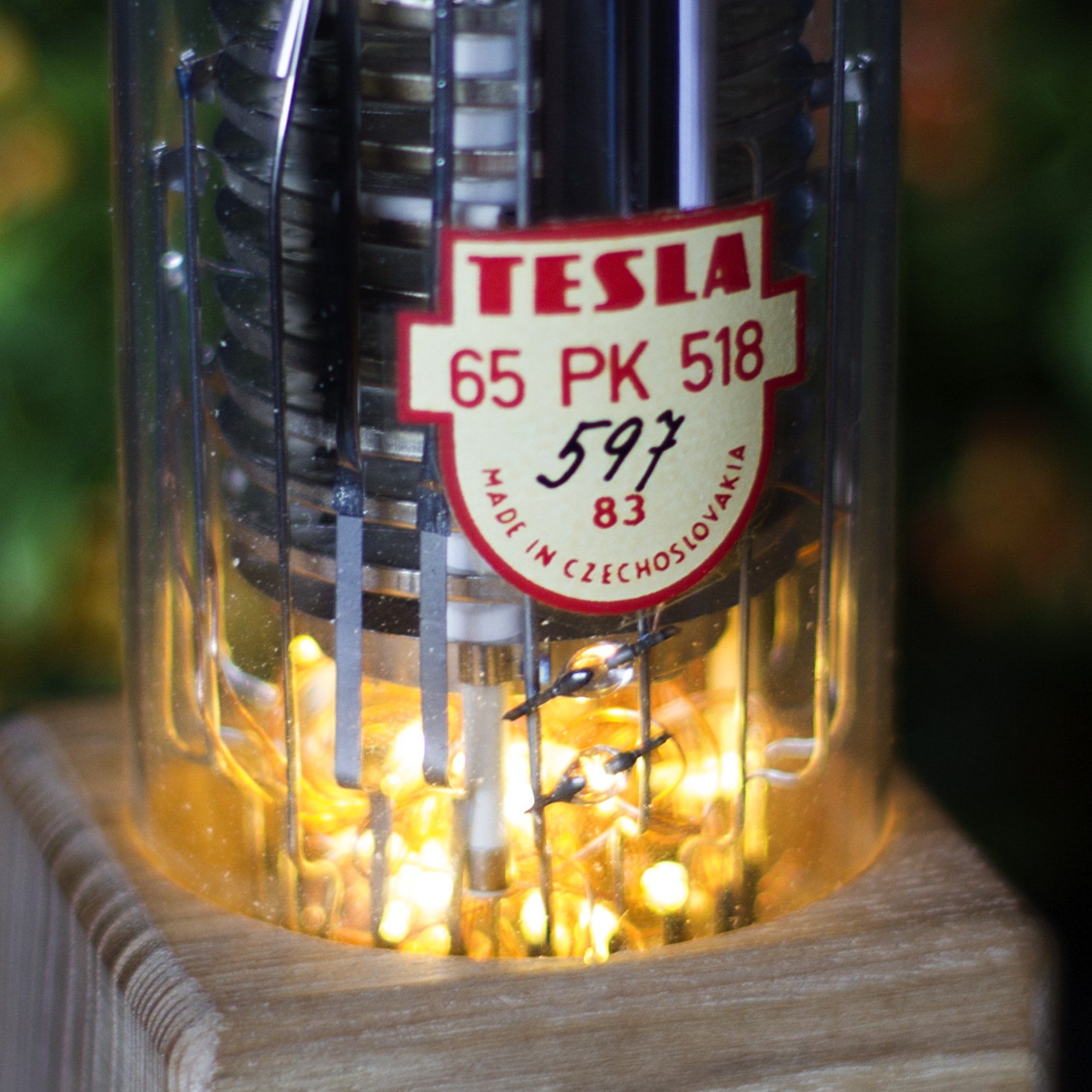 Personalized vacuum tube night light. Eco ash tree LED Etsy