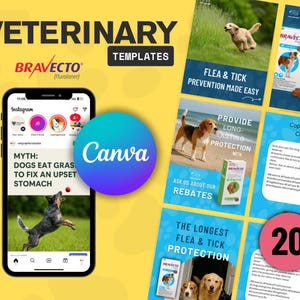 Puede incluir: Gráfico amarillo con el texto "VETERINARY TEMPLATES" y un teléfono inteligente que muestra una publicación de Instagram sobre perros comiendo hierba. Gráficos adicionales promueven la prevención de pulgas y garrapatas.