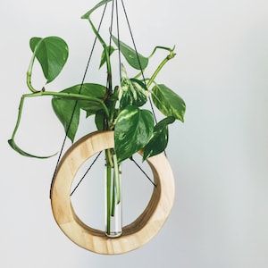 Hanging decor / mobile  / Boho decor/ wall decor/ Hanging planter / home decor / propagation station / wooden vase / gift for plant lover