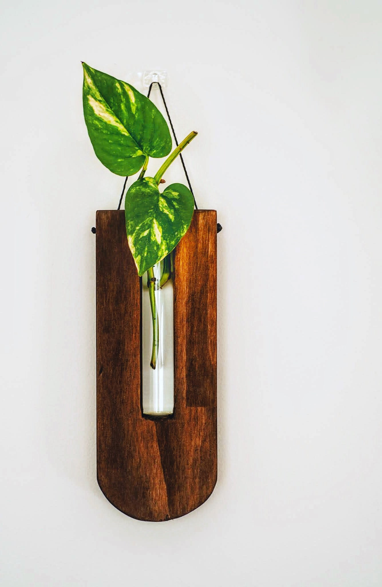 Wall decor / Propagation station / wooden vase/ Wall planter | Etsy