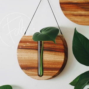 Wandtopf / Wanddeko / Vermehrungsstation / Geschenke für Pflanzenliebhaber / Holzvase / Hängevase / Verandadekor