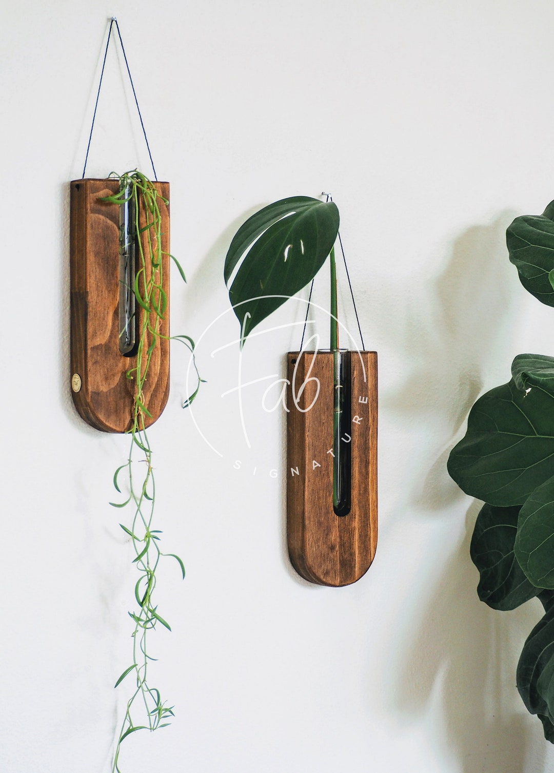 Wall Planter /propagation Station / Wall Decor / Boho / Gifts for Plant ...