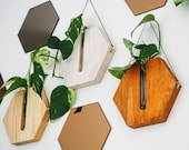 Propagation station wall planter indoor timber vase wall decor timber decor handcrafted goods Hanging planter