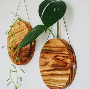 Wall decor /timber vase/Hanging plants /gifts for her/Propagation station/wall planter/Wooden wall hanging/Gifts for plant lover/Porch decor