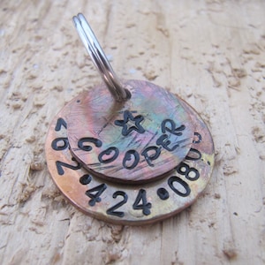 dog tag,personalized dog tags,Patina tags,pet ID ,custom pet id tag,Cat ID tag,hand stamped pet id tag,Pet name tag, Pet supplies, Pet tags