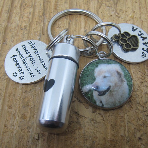 Pet Memorial Pet Urn Urn Keychain Loss of Dog Loss of Cat Etsy