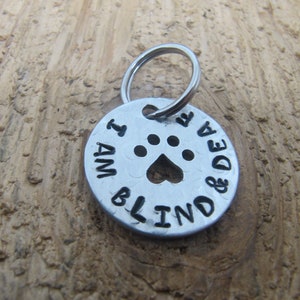 Taub und Blind Tag, Haustier-ID-Tag, Deaf und Blind Haustier-Tag, Ich bin taub, ich bin blind, ID-Tag, Hunde-ID-Tag, Katzen-Tag, blinder Hund, taube Hund, blinde Katze