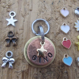 Puppy ID tag, Kitten ID tag, Pet ID tag, Dog name tag, Cat name tag, tiny pet Id tag,  pet id tags, Name tag for kitten, name tag for puppy