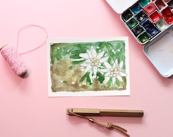 Postcard edelweiss nature watercolor drawing flower