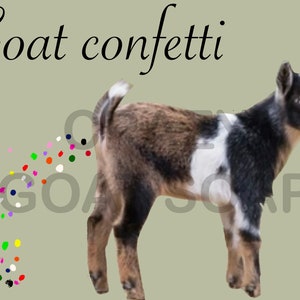 goat confetti png