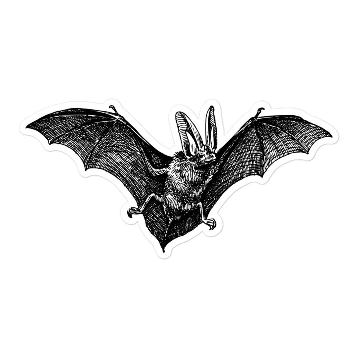 Vintage Flying Bat Sticker: Black Print Vinyl Decal - Etsy