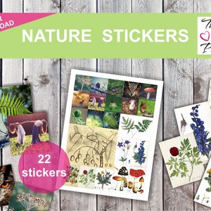 May include: A set of 22 nature-themed stickers featuring illustrations of mushrooms, ferns, owls, and other plants. The stickers are printed on white paper and are perfect for adding a touch of nature to your planner or journal.