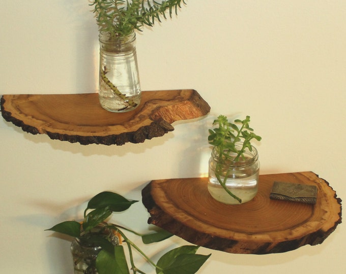 Shelves Wood Slab Shelves Wood Shelf Natural Wood Shelves Etsy