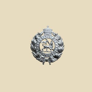 Puede incluir: Un emblema plateado detallado con un león sosteniendo una bandera en el centro, rodeado por una corona de laurel y una corona. El diseño se encuentra sobre un fondo beige, resaltando los intrincados detalles del emblema.