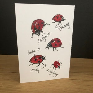 Carte faite main- design coccinelle- cartes vierges- toutes les occasions- tirages d'oeuvres d'art originales-