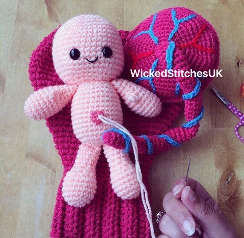 Uterus, Placenta, Baby and Umbilical Cord Crochet Pattern. Teaching aid. image 4