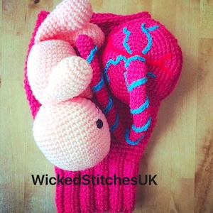 Uterus, Placenta, Baby and Umbilical Cord Crochet Pattern. Teaching aid. image 3