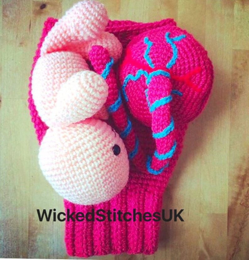 Uterus, Placenta, Baby and Umbilical Cord Crochet Pattern. Teaching aid. image 3