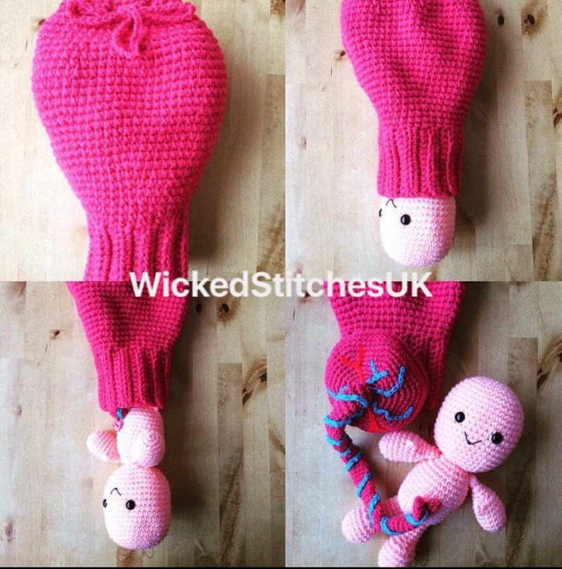 Uterus, Placenta, Baby and Umbilical Cord Crochet Pattern. Teaching aid. image 2