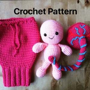 Uterus, Placenta, Baby and Umbilical Cord Crochet Pattern. Teaching aid. image 1