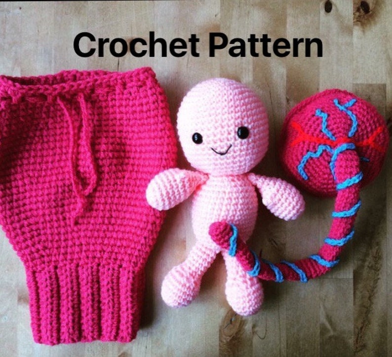 Uterus, Placenta, Baby and Umbilical Cord Crochet Pattern. Teaching aid. image 1